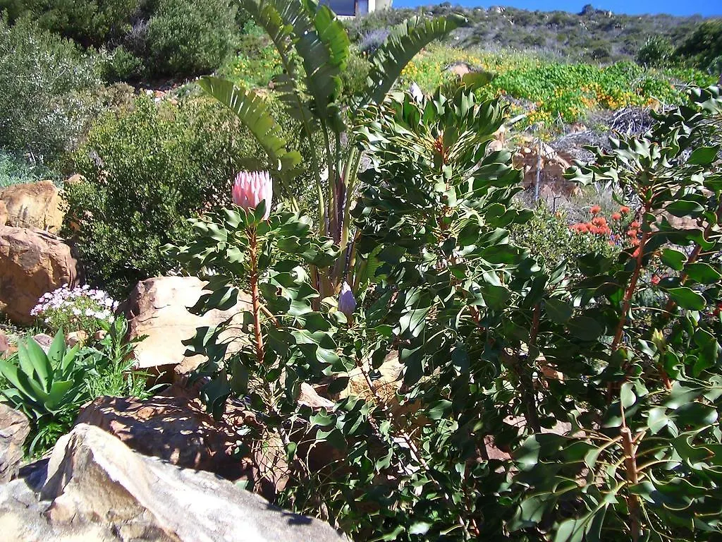 A Place In Thyme Fish Hoek Apartment